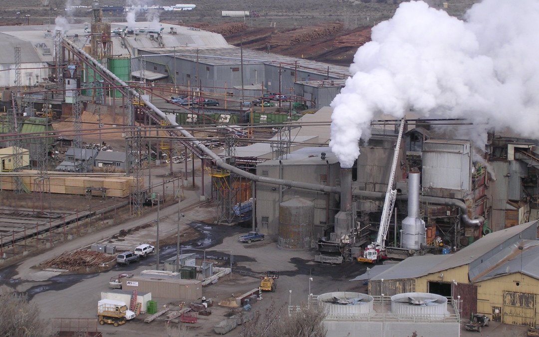 Colville Indian Power & Veneer